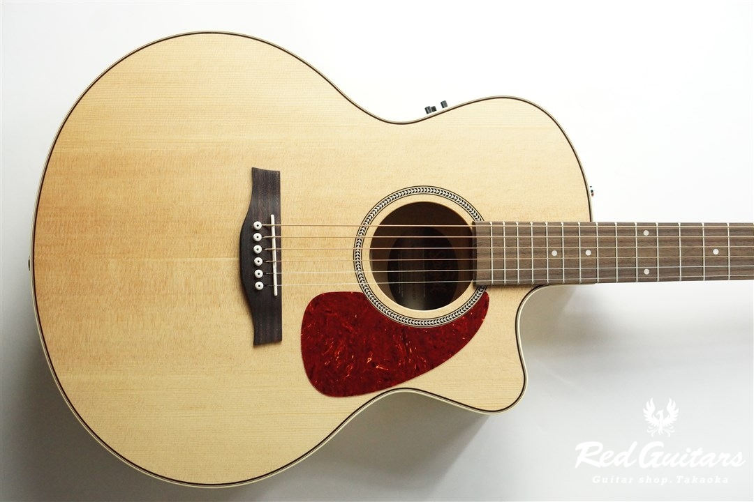 Seagull Performer CW Mini Jumbo HG QIT | Red Guitars Online Store